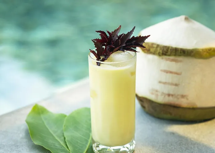 Explorar Koh Phangan - Adults Only Resort And Spa